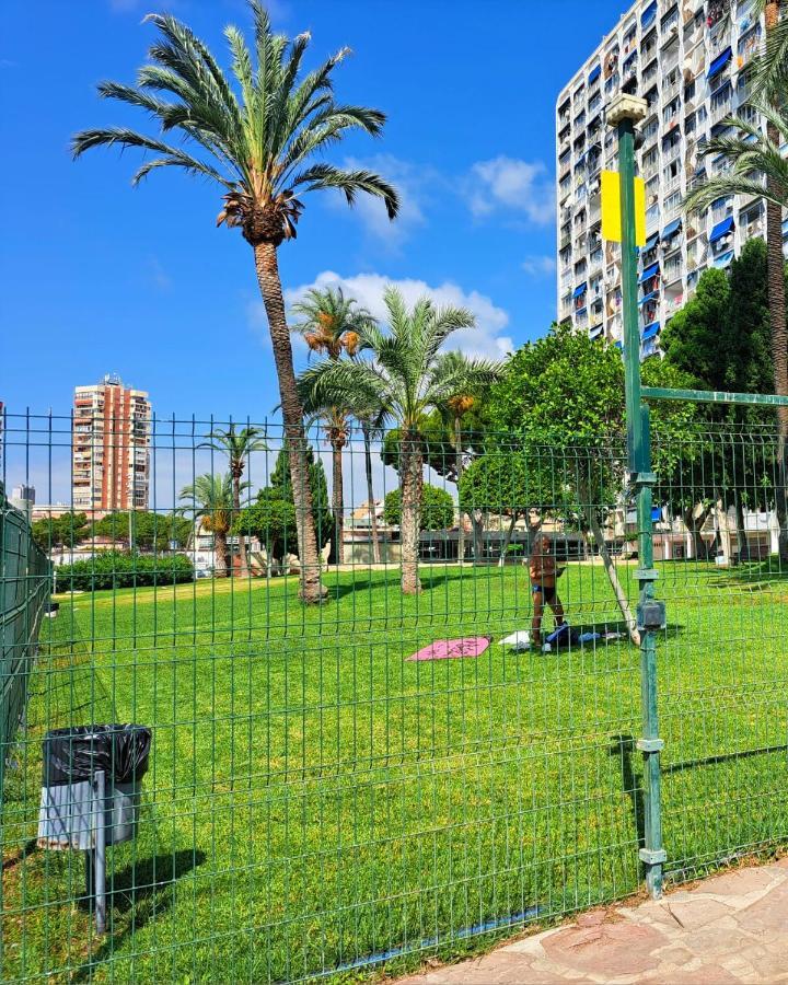 Comfortable Studio With Sea View Apartment Benidorm Exterior photo